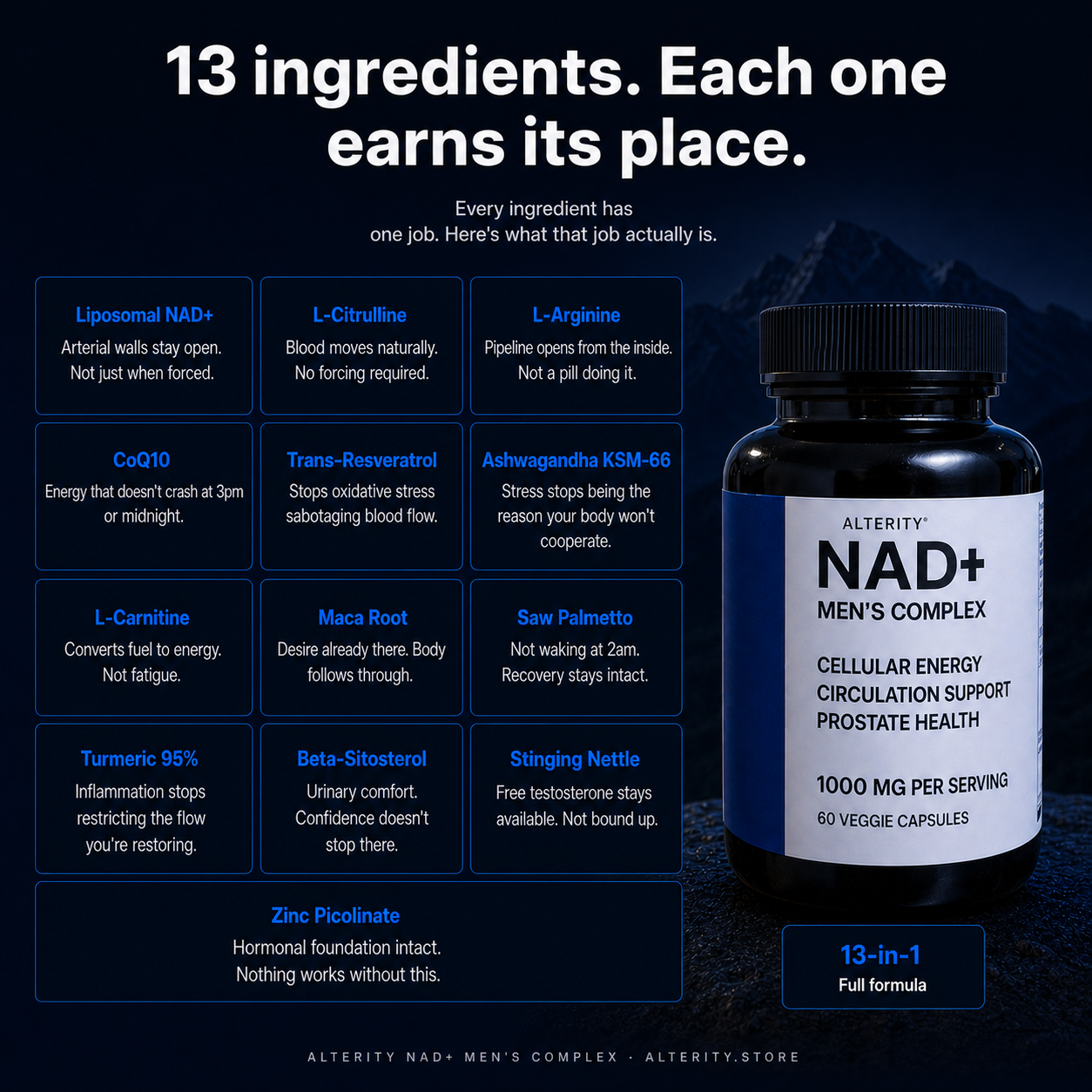 13 in 1 NAD+ Men's Complex